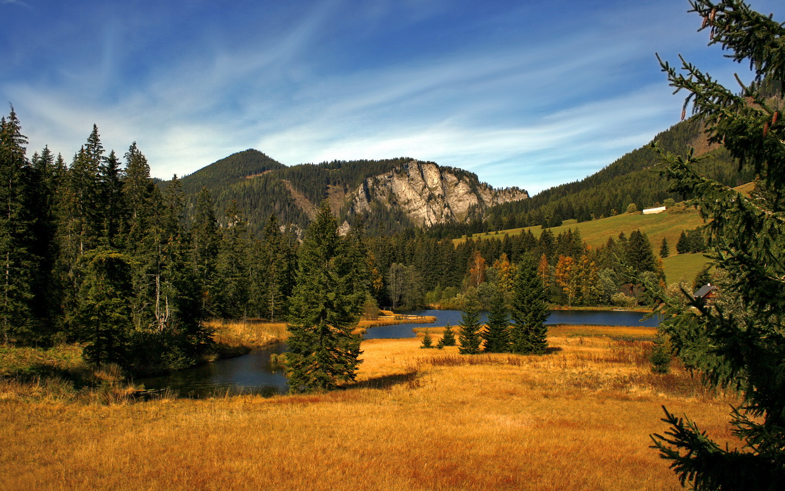 “英超最后冲刺:强队纷纷发力,争夺佳绩”,英超最后两轮对阵