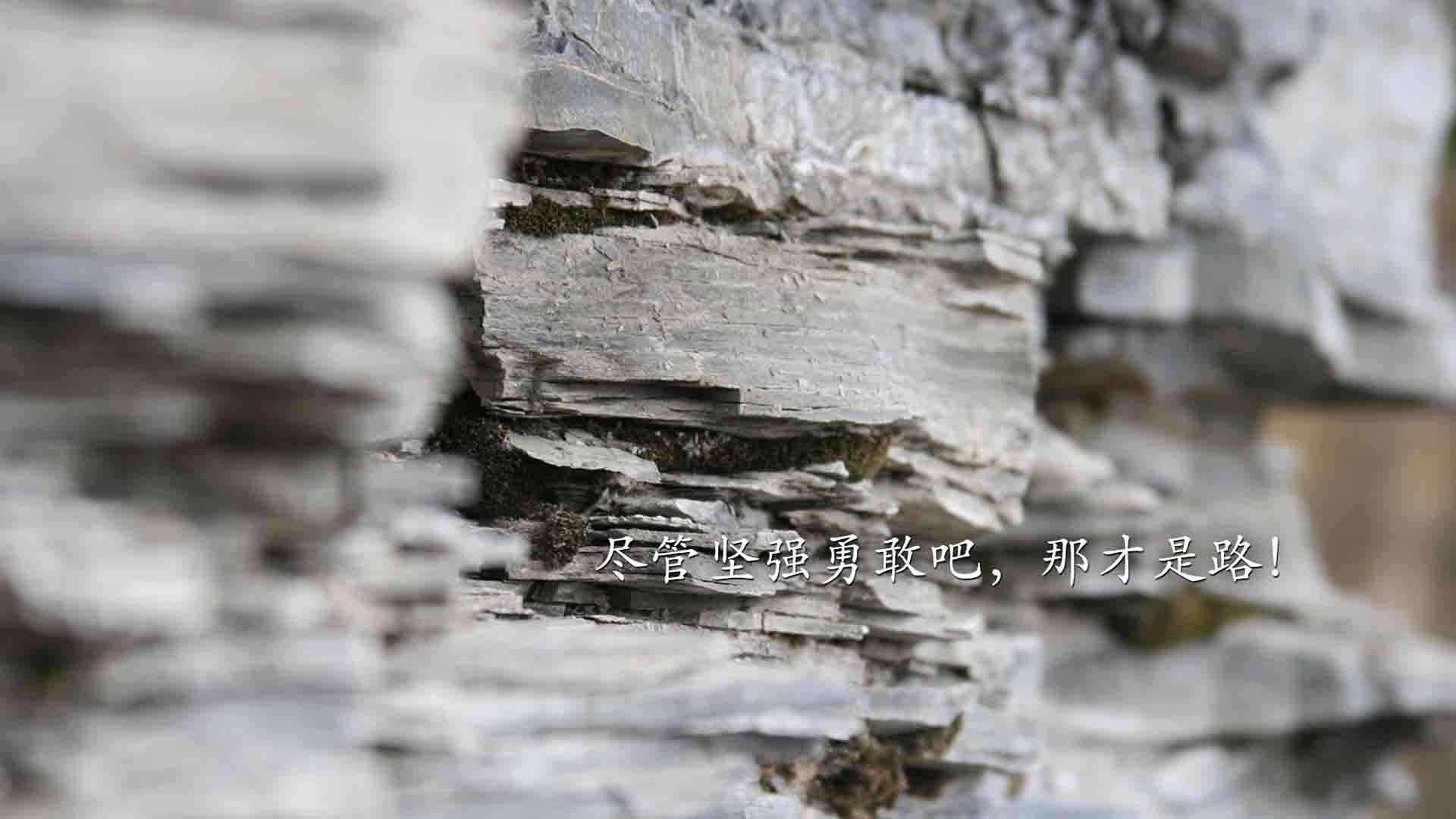 开云官网入口-全民健身事业为加快建设体育强国、健康中国增添动能，为中华民族伟大复兴提供坚实健康基础和强大精神力量