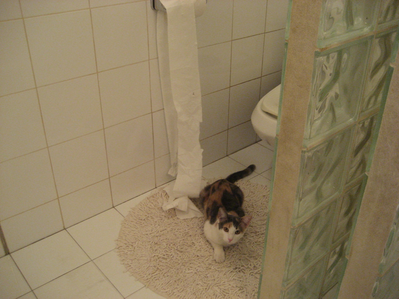 大型漂流激流勇进，水上极速狂欢，水上漂流怎么玩