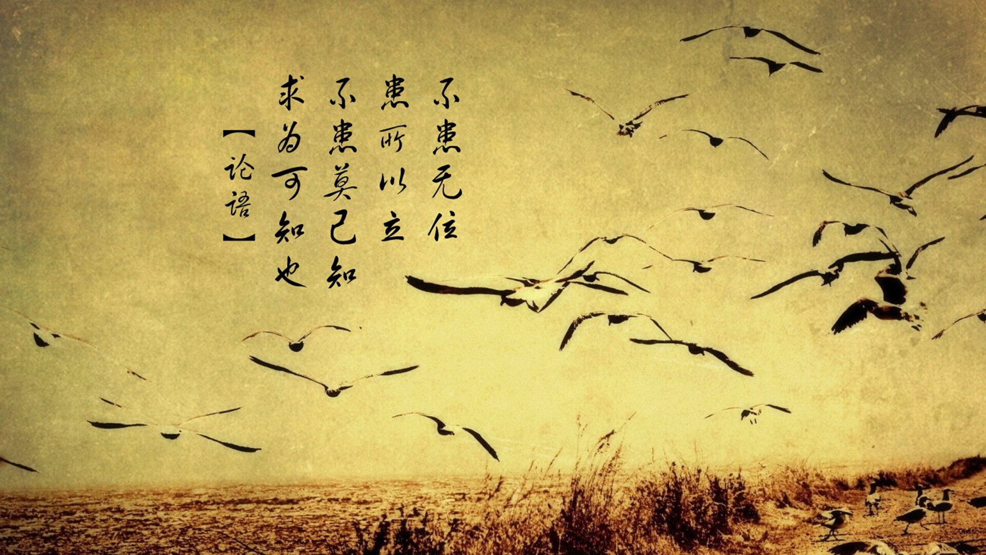 德甲引入新战术分析系统，大幅提升比赛精彩程度，德甲解析